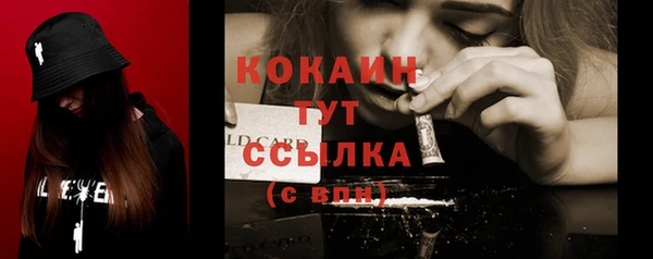гидра Осинники
