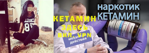 гидра Бородино