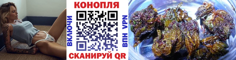 Шишки марихуана THC 21% даркнет сайт Благодарный